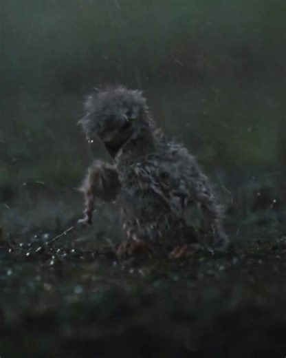 Super Bowl ads are getting released. You can have your Bad Bunny or a Green Day. I'll take a good old fashioned patriotic Budweiser commercial any day. Happy 250 America! | Gregory Jon