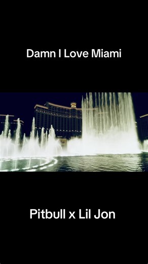 Damn I Love Miami - Pitbull x Lil Jon #damnilovemiami #pitbull #liljon
