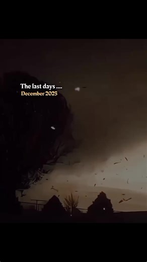 last days of December ❤️‍🩹🫠 #tiktok #viral #fypシ゚ #fouryoupage #growmyaccount #unfrezzmyaccount #fyppppppppppppppppppppppp