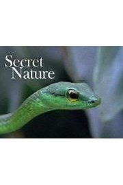 Watch Secret Nature Season 1 Episode 1 - Snake Secrets