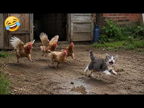 The Best Compilation of Funny Animals | Funniest Cats & Dogs You’ll Ever See on the Internet 😹🐶😂
