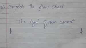 Complete the flow chart:The legal system cannot...... | Filo