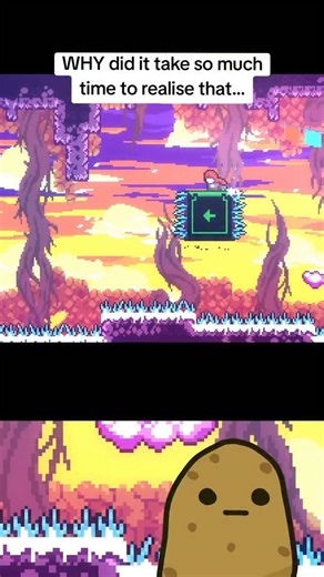 TomThePotato on Instagram: "I can't believe it took me that long to notice that 😭 . . . #potatogaming #funny #celeste #fail"