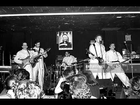Devo Wiggly World (Live New York 1977)