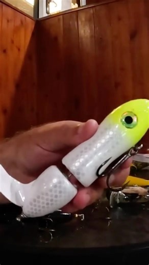 Why This Topwater? #fishing #fish #muskyfishing #Short #musky #muskylures #muskie #rich