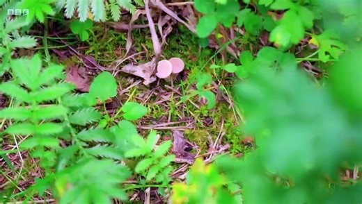 MasterChef The Professionals Season 18 Episode 20