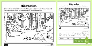 Hibernation Cut and Color Worksheet