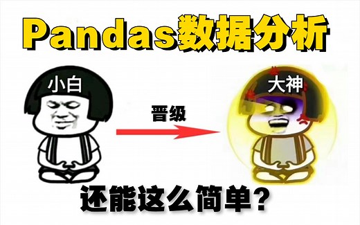 【学渣也能学会系列】唐宇迪带你学习Pandas数据分析到实战的教程，通俗易懂的讲解Python pandas,