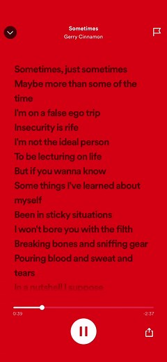 Gerry Cinnamon Belter Lyrics
