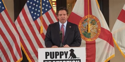 Governor DeSantis announces proposal to develop standard practices for ethical dog breeding