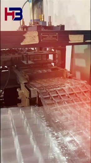 Premium Transparent Food Packaging Trays | HB Packaging & Trading