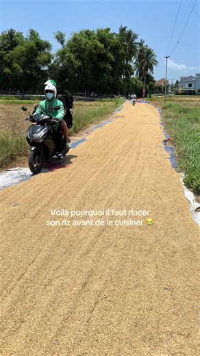 Pourquoi rincer le riz avant de le cuisiner