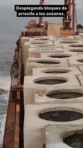 Los bloques de concreto de arrecife se arrojan al mar para crear hábitats marinos, proteger costas, fomentar la pesca y el buceo, y apoyar la conservación de especies. | Ciencia y Tecnologia