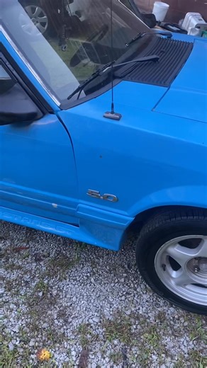 This is my 88 fox I’ve changed the fuel pressure regulator and I’ve checked the timing 100 times it seems to still load on fuel/ lagging during revving I need some help guys much appreciated | Jacob Mullins