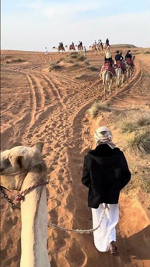 ドバイ砂漠でラクダに乗ってみた#dubai