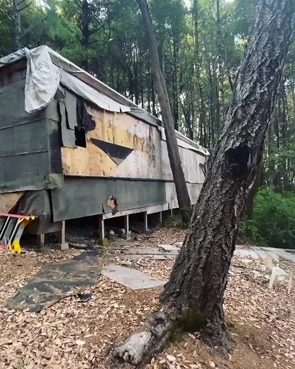 Vintage indoor growing🔥 #vintage #humboldt #growers #indoor #cookies