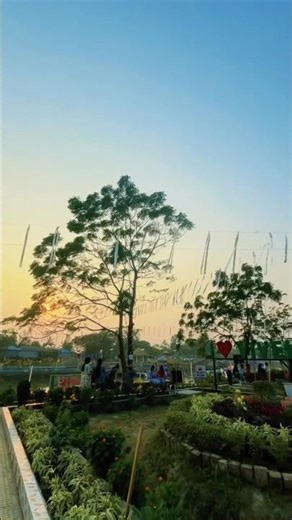 Support karo guys ❤️ #youtubeshorts #ytshorts #arsimplelife