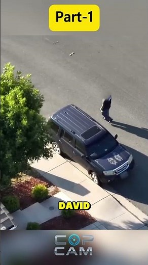 Craziest Moments Cops Face Off With The Most Dangerous Criminals