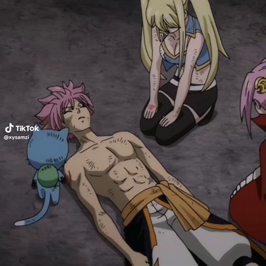 Emotional Moments of Happy and Natsu in Fairy Tail