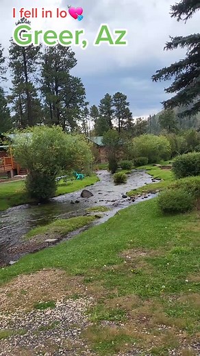 Roughly 90% of Greer is National Forest, making it one of the most beautiful, pristine natural habitats that can be found in Arizona. Also, as part of the largest Ponderosa Pine forest in the world, it's a pine tree lover's haven.#showlowaz #photo #us260 #Az #foryou #arizona #arizonacheck #fyp #whitemountains #apache #lake #photography #greeraz #family #river #vacacio #cabins