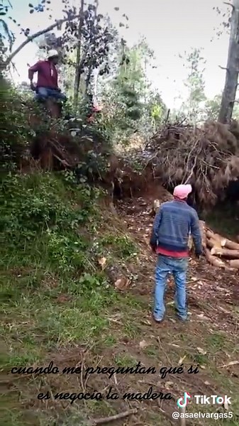 Loading Logs for Transport: A Day in the Forest