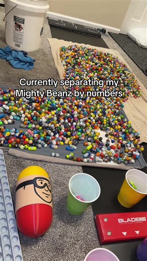 Guide to Organizing Mighty Beanz by Numbers