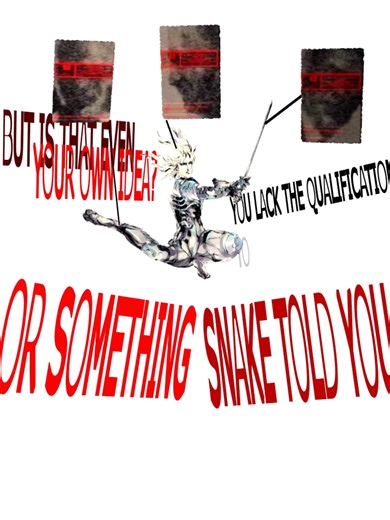 Raiden: The Hero of Metal Gear Solid