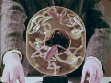 Yeast Cell Biology: Time-Lapse Microscopy of Diffusion and Life Functions