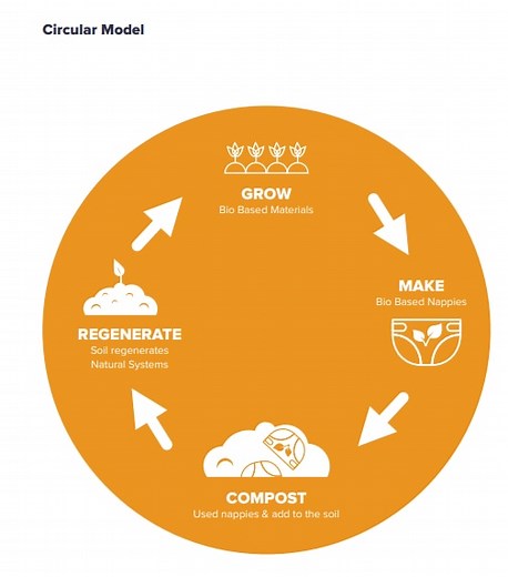 Disposable nappies are one of the biggest contributors to plastic waste – but how green are the alternatives?