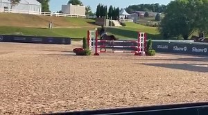 Jennifer Murray and Joanna Acosta’s “Cornerstone” jumping around 1.15m! ❤️ this Horse! Great riding, Jenny! Your debut in 1.15! Both of them rocked it! 🌟🤗🎉 Shabang! | Huntsover Farms