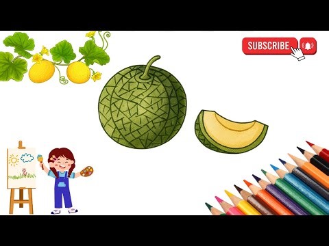 ✨ How to Draw and Color a Melon 🍈 | Easy Fruit Drawing for Kids