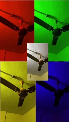 Ceiling fan funny | #shorts #ytshorts #shortsfeed #ceilingfan #fan