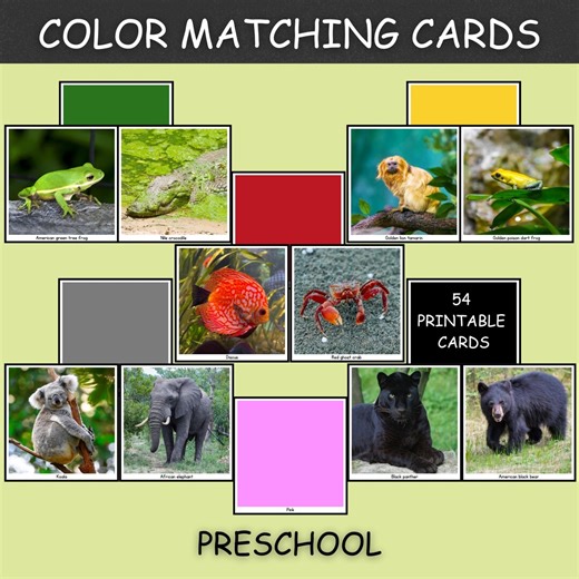 Animal Color Matching Cards | Educational Printable for Kids PDF - Etsy