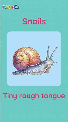 All About Snails 🐌 | Fun Facts for Kids #zapetv #kids #shorts