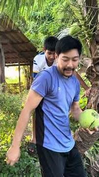 อยากกินน้ำมะพร้าว #เพชรอุมา #บังเฮีย #ทำเองคนเดียว