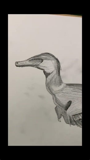 Austroraptor #dinosaur #art #pencildrawing #paleoart