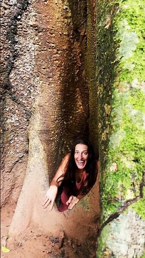Jungle girl hiding between the roots of a giant Tree