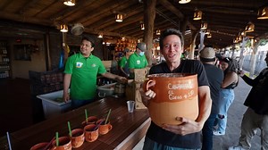 Inside tequila beyond the bottle