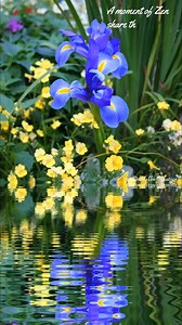 Wishing you a tranquil weekend! The flower symbolism associated with the iris is faith, wisdom, cherished friendship, hope, valor, my compliments and promise in love. The Iris is named after the Greek Goddess Iris meaning, “rainbow”. It is the official flower of 25th wedding anniversaries and is the birth flower for February. Share to those who could use some tranquility! #iris #flower #flowerlovers #floweraddict #naturelovers #tranquil #peaceful #soothing #relaxing #anxietyrelief #naturelovers 