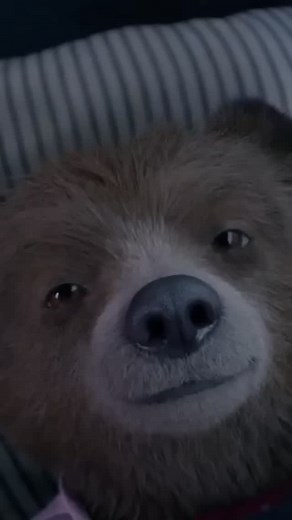 Movie.Zone.HQ on Instagram: "🎬 Paddington 2 (2017) Genre: Family/Comedy Duration: 1h 44m Overview: In Paddington 2, our lovable bear Paddington has settled happily with the Brown family and has become a beloved member of his community. To celebrate his Aunt Lucy’s upcoming 100th birthday, he finds the perfect gift—a rare pop-up book. However, things go awry when the book is stolen, and Paddington is wrongfully accused of the theft. Determined to clear his name, he teams up with the Browns and a