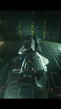 Do this or LOSE YOUR CARGO in Star Citizen