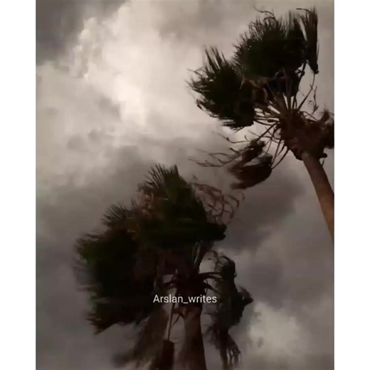 Discover Beauty Tips and Tricks