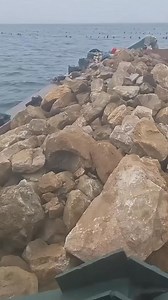 191K views · 465 reactions | Building a new underwater world #ArtificialReef #MarineRestoration #OceanInnovation | Ogunquit, Maine Oceanfront Rentals | Facebook