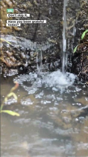 Relax and enjoy the peaceful sound of water flowing in a small river (69) #short
