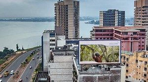 Rapprocher les Hommes, créer des emplois, contribuer au bien-être des populations, participer au développement local, soutenir l'entrepreneuriat, préserver l'environnement, s'engager sur le long terme : Nous faisons bien plus que du transport et de la logistique. | Africa Global Logistics