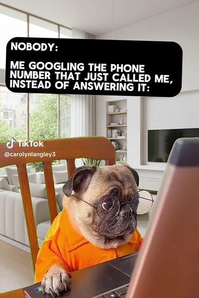 La verdad sobre el spam y los memes