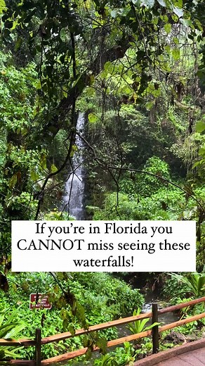 ❗️Did you know Florida has waterfalls?? 👇 Save this for your next Florida adventure! 📍 Rainbow Springs State Park - Dunnellon, FL 🥾Located at the head springs entrance - This 1.1-mile Nature Trail offers a tropical escape with two stunning man-made waterfalls that are a unique part of Florida and the State Parks System, dating back to the 1930s! - In addition this park offers longer more scenic trails to enjoy and take in all of the lush greenery, wildflowers and rich history 🌺 -🌈Rainbow Fa