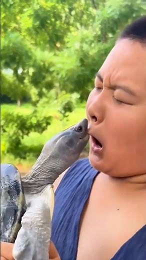 Animals Attacking People Funny Reactions #funny #animals #shorts