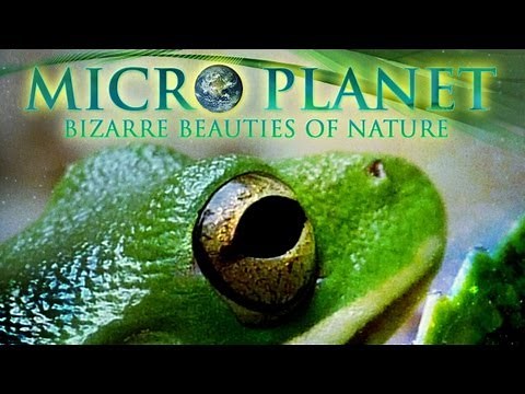 Microplanet - Preview of the 43 minute documentary
