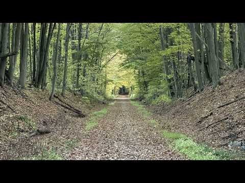 IM RUNNING, AGAIN (BREATHE)